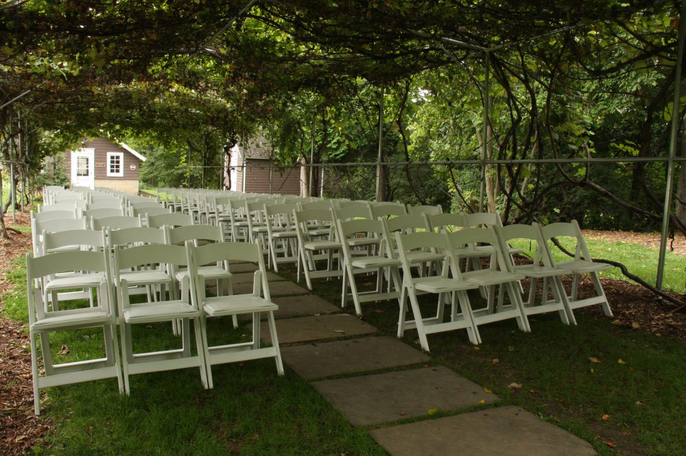 Weddings at Tarrywile wedding-ceremony-chairs-under-grape-arbor