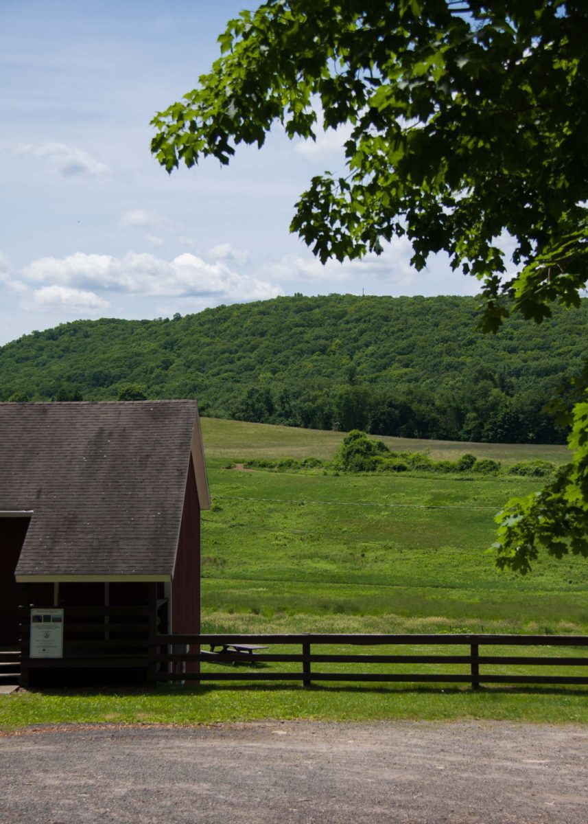 Tarrywile Park view of red barn with hayfields beyond